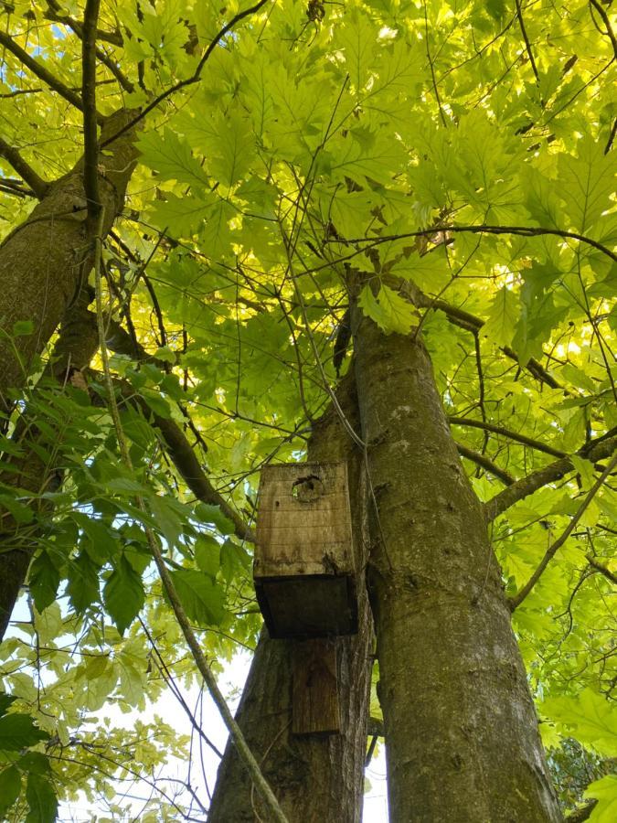 Locanda Del Molino Vecchio Magliano Alfieri Exteriér fotografie