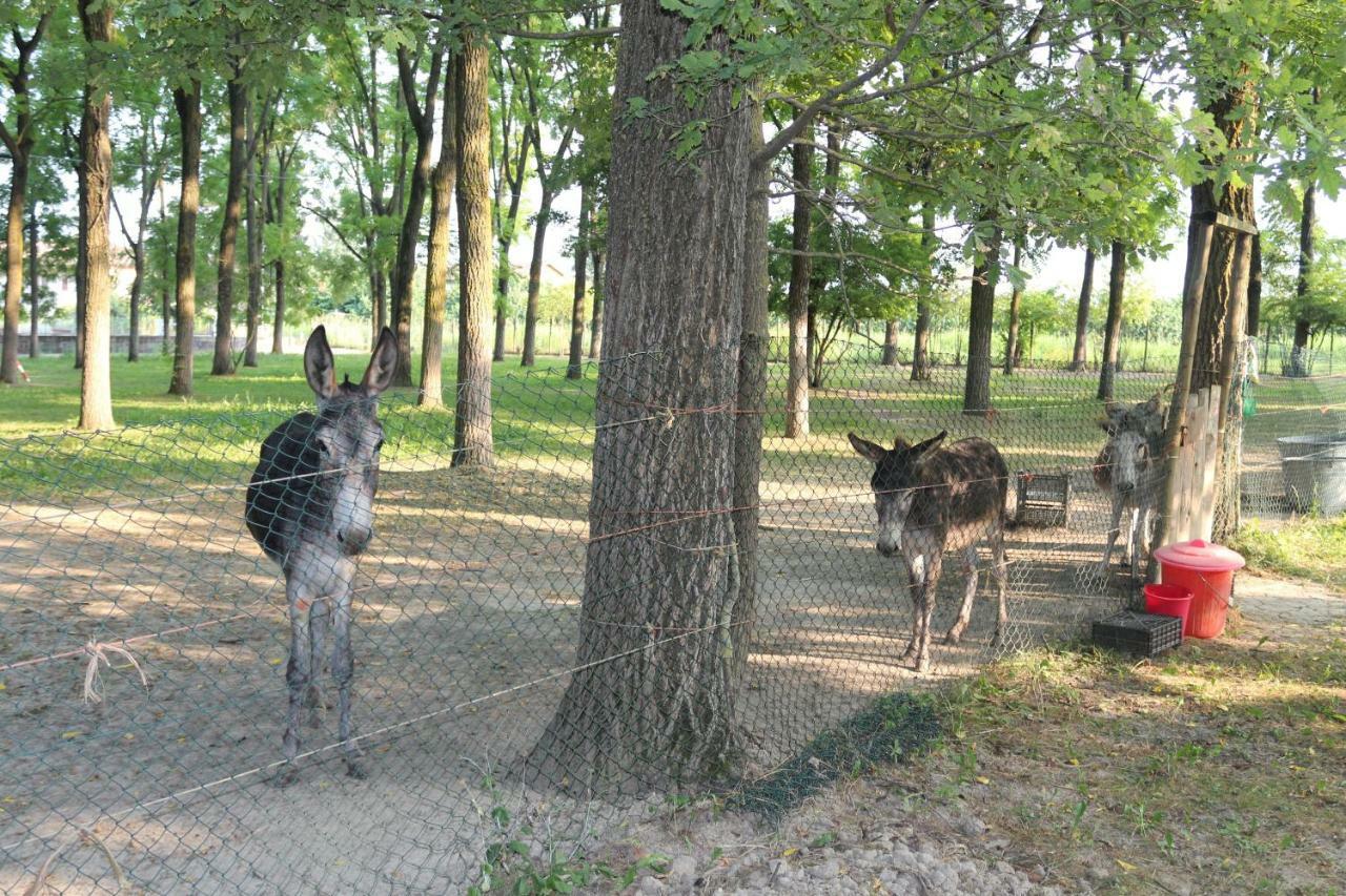 Locanda Del Molino Vecchio Magliano Alfieri Exteriér fotografie