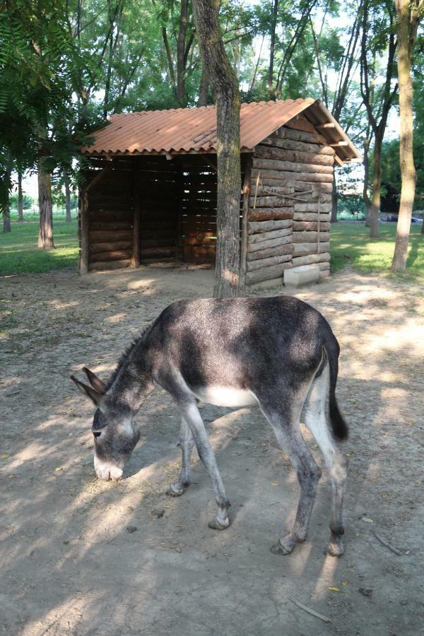 Locanda Del Molino Vecchio Magliano Alfieri Exteriér fotografie